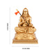 Adi Shankara Sitting On Base Murti - 6 x 4.5 Inches | Resin Statue/Gold Polish Shankaracharya Idol For Pooja - Fibre Murties