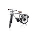 Miniature Bicycle - 9 x 18 Inches | Decorative Showpiece/ Cycle Miniature for Home Decor - Table Stand Accessories