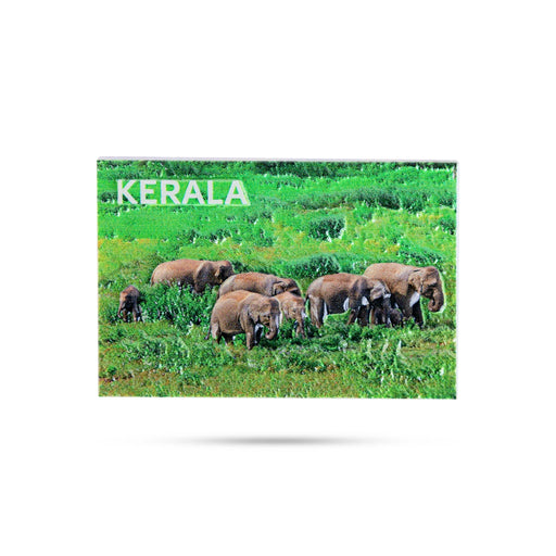 Kerala Elephants Scenery Fridge Magnet - 2 X 3 Inches | Picture Magnet/ Photo Magnet For Home Decor - Fridge Magnet