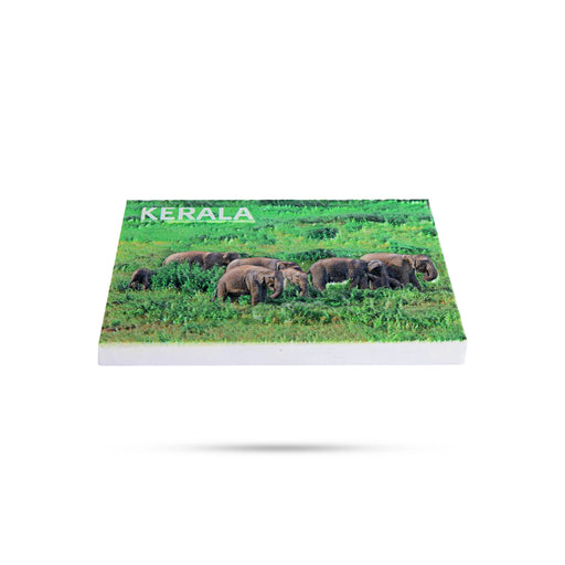 Kerala Elephants Scenery Fridge Magnet - 2 X 3 Inches | Picture Magnet/ Photo Magnet For Home Decor - Fridge Magnet