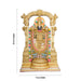 Tirupati Balaji Murti - 15 x 9 Inches | Marble Idol / Tirupathi Balaji Statue / Tirupati Balaji Idol for Pooja - Resin Murties