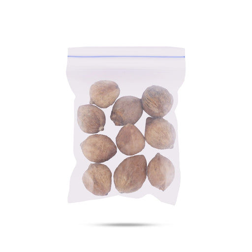 Coconut - 10 pcs Set | Mini natural Coconut / Thengai / Nariyal / Coconut for Pooja - Pooja Thali Accessories