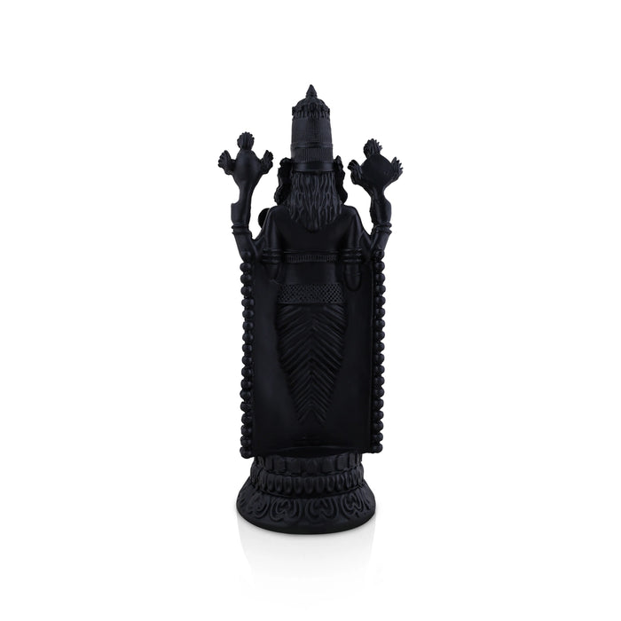Balaji Murti - 11.5 x 5 Inches | Black Balaji Standing Statue/ Tirupati Balaji Idol for Pooja