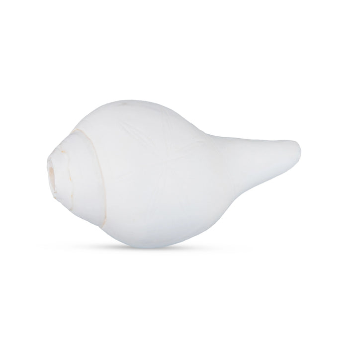 Blowing Shankh - 2 x 4.5 Inches | Conch/ Shankha for Pooja