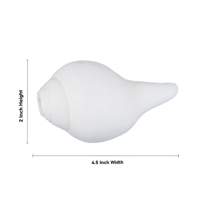 Blowing Shankh - 2 x 4.5 Inches | Conch/ Shankha for Pooja