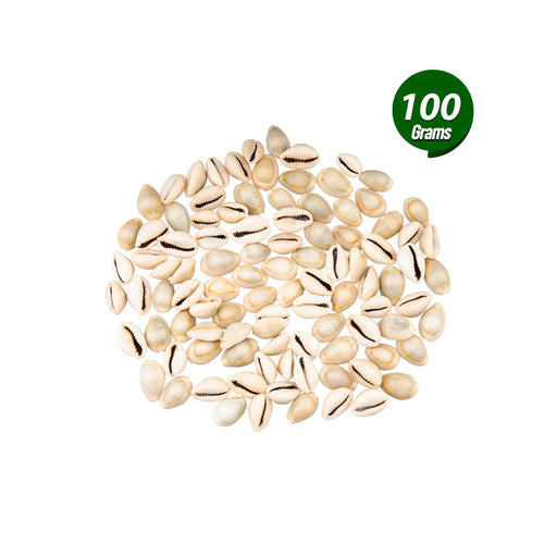 Sada Chozhi | Cowrie Shells/ Sozhi/ Kaudi for Pooja - Pooja Shankh