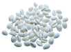 Chozhi - White | Cowrie Shells/ Kauri Shell/ Cowrie Seashell for Pooja - Pooja Shankh