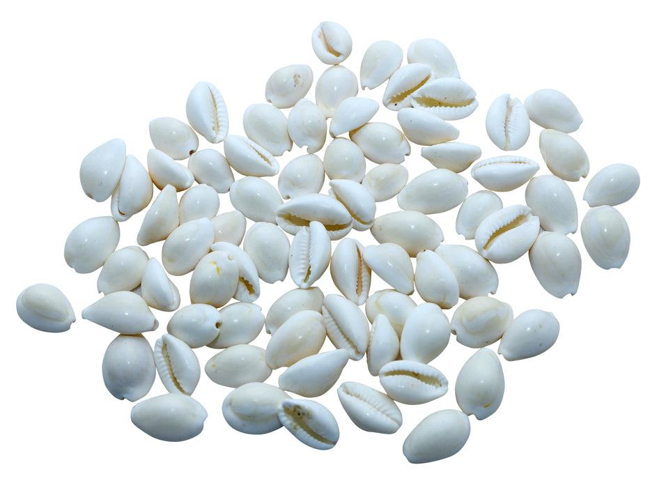 Chozhi - White | Cowrie Shells/ Kauri Shell/ Cowrie Seashell for Pooja