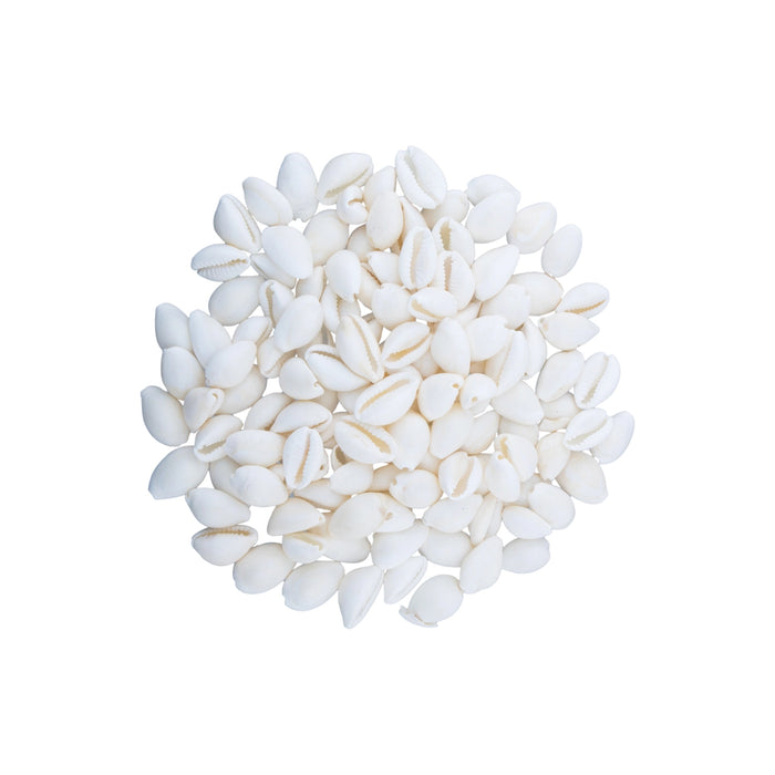 White Chozhi - 100 Gms | Cowrie Shells/ Sozhi/ Kaudi for Pooja