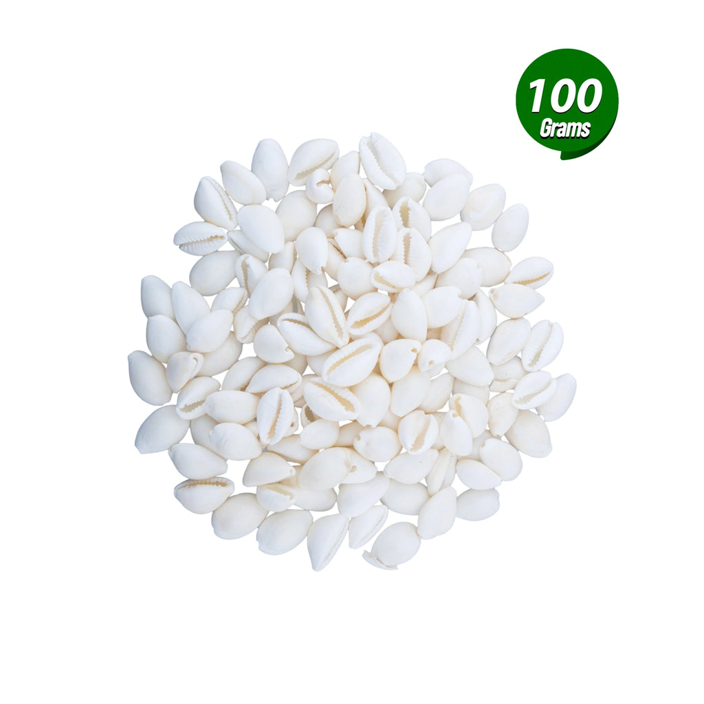 White Chozhi - 100 Gms | Cowrie Shells/ Sozhi/ Kaudi for Pooja