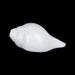 Blowing Shankh - 2.5 x 5.5 Inches | Sangu / Bajane Wala Shankh/ Vamavarti Shankh / Blowing Conch for Pooja - Pooja Shankh