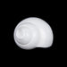 Blowing Shankh - 2.5 x 5.5 Inches | Sangu / Bajane Wala Shankh/ Vamavarti Shankh / Blowing Conch for Pooja - Pooja Shankh
