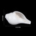 Blowing Shankh - 2.5 x 5.5 Inches | Sangu / Bajane Wala Shankh/ Vamavarti Shankh / Blowing Conch for Pooja - Pooja Shankh