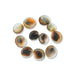 Gomti Chakra Nabi Shell - 11 Pcs | Gomati Chakra/ Sudarshan Chakra for Lakshmi Pooja - Pooja Shankh