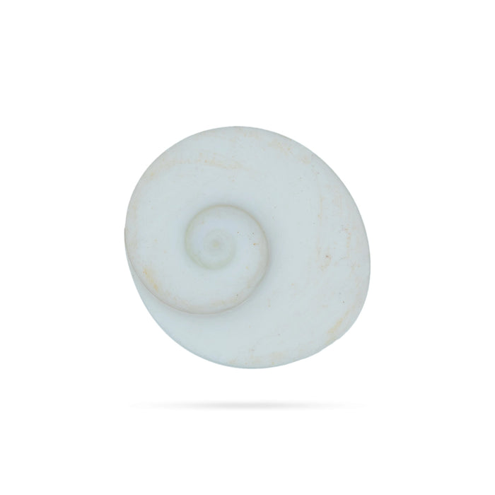 Gomti Chakra Nabi Shell - 11 Pcs | Gomati Chakra/ Sudarshan Chakra for Lakshmi Pooja - Pooja Shankh