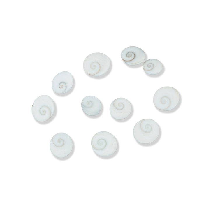 Gomti Chakra Nabi Shell - 11 Pcs | Gomati Chakra/ Sudarshan Chakra for Lakshmi Pooja - Pooja Shankh