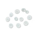 Gomti Chakra Nabi Shell - 11 Pcs | Gomati Chakra/ Sudarshan Chakra for Lakshmi Pooja - Pooja Shankh