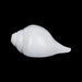 Blowing Shankh - 2.75 x 6 Inches | Sangu / Vamavarti Shankh/ Bajane Wala Shankh/ Conch for Pooja - Pooja Shankh