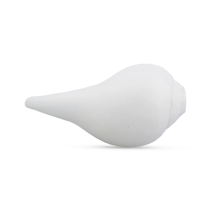 Blowing Shankh - 2.5 x 5 Inches | Conch/ Shankha for Pooja