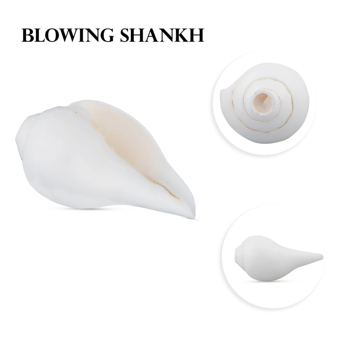 Blowing Shankh - 2.5 x 5 Inches | Conch/ Shankha for Pooja