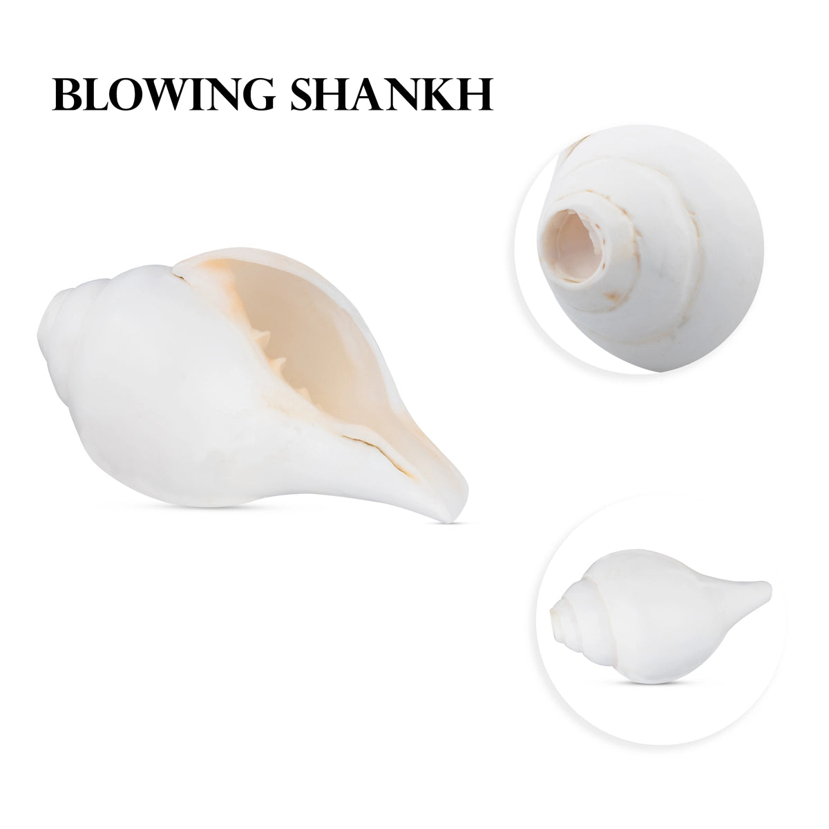 Giri - Sangu | Blowing Shankh | Original Shankh