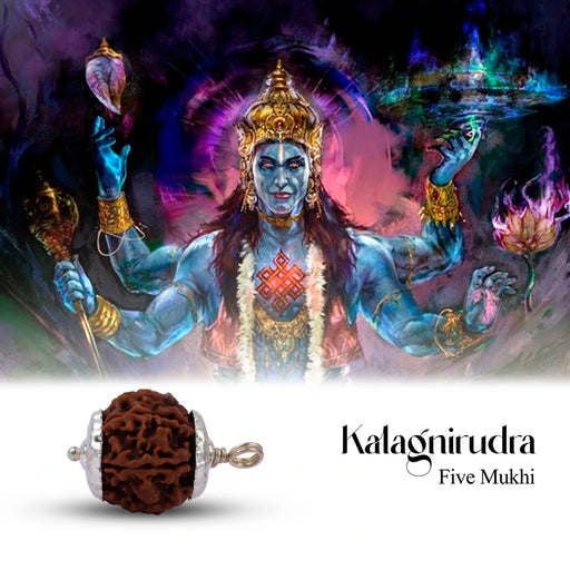 5 Face Rudraksha Pendant | White Cup Rudraksha Pendant/ Nepali Rudraksh Bead Locket for Men & Women - Rudraksha Mala, Pendant, Bracelet