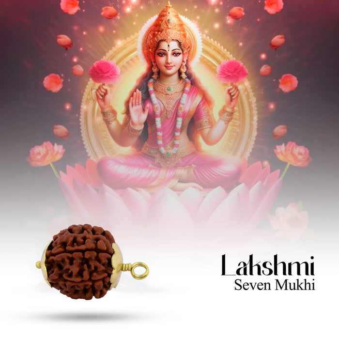 Giri - 7 Mukhi Rudraksha Pendant | Rudraksha Locket | Ruthratcham
