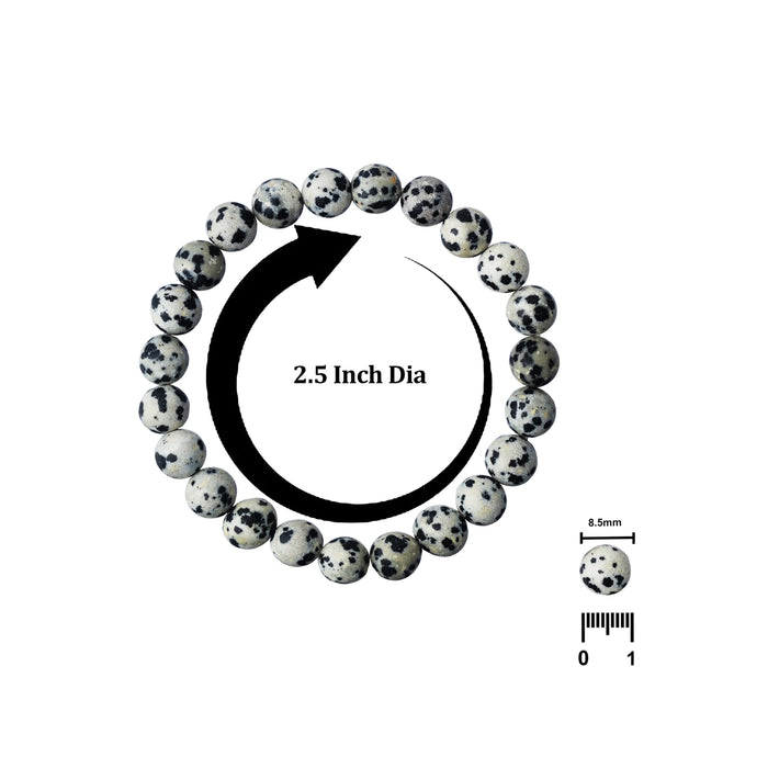 Dalmatian Jasper Bracelet - 2.5 Inches | Crystal Bracelet/ Dalmatian Jasper Gemstone Bracelet for Men & Women