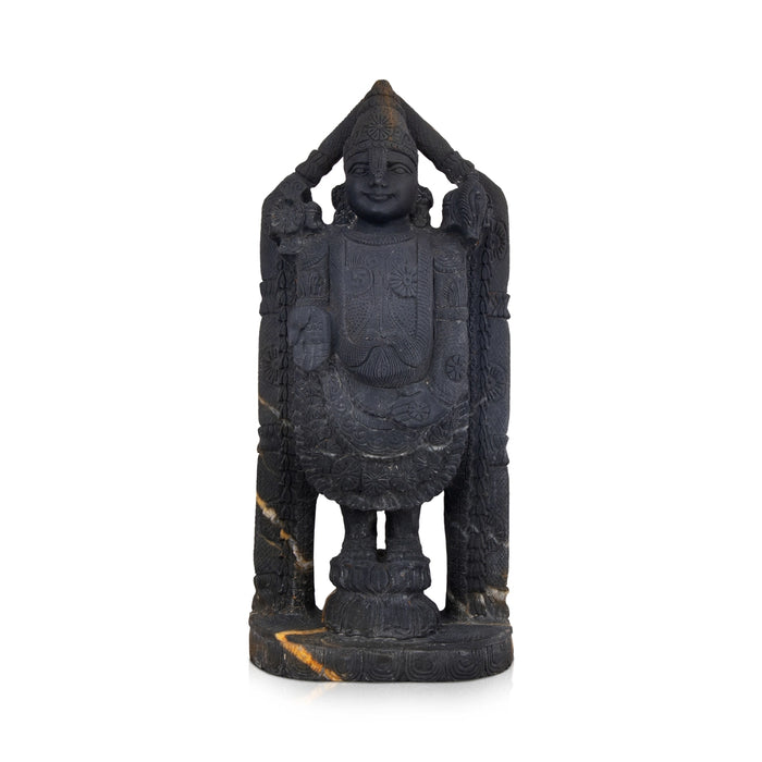 Tirupati Balaji Shaligram Murti | Tirupati Balaji Murti | Balaji Murti Tirupati