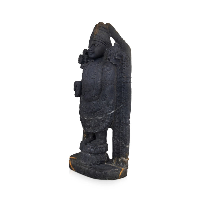 Tirupati Balaji Shaligram Murti | Original Idol of Tirupati Balaji | Original Tirupati Balaji Murti
