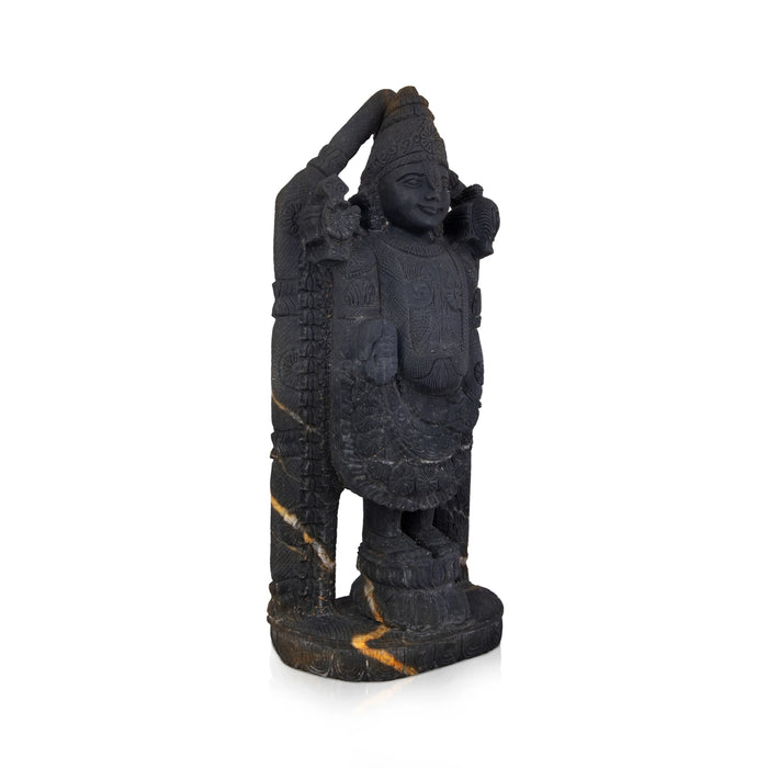 Tirupati Balaji Shaligram Murti | Balaji Statue in Tirupati | Buy Original Shaligram Online