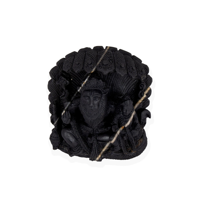 Adwaita Laxmi Narasimha Shaligram Murti | Vishnu Shaligram Stone | Vishnu Shaligram Price