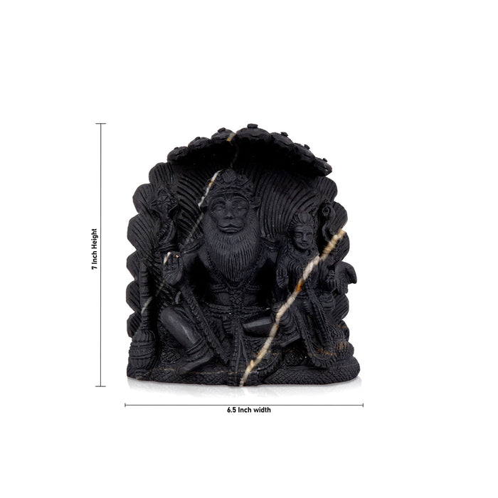 Adwaita Laxmi Narasimha Shaligram Murti | Lakshmi Narasimha murti | Shaligram Idol 
