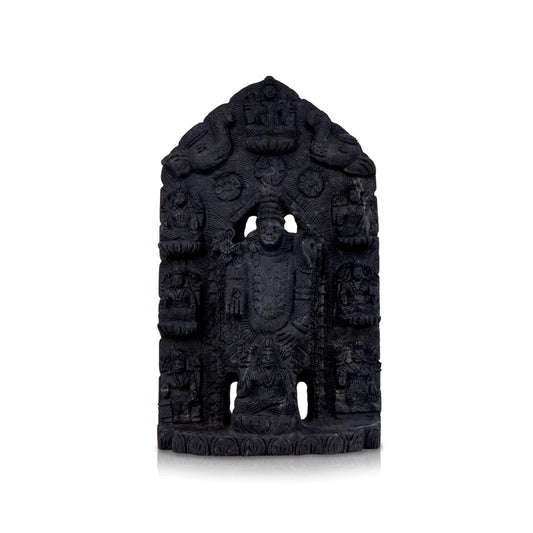 Adbhut Balaji Ashta Lakshmi Shaligram Murti | Vishnu Shaligram | Rare Shaligram Stone
