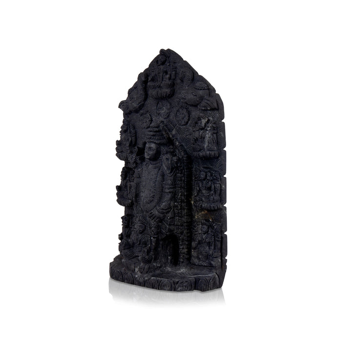 Adbhut Balaji Ashta Lakshmi Shaligram Murti | Laxmi Narayan Shaligram | Laxminarayan Shaligram