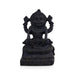 Narasimha With Lakshmi Shaligram Murti | Shaligram Idol | Vishnu Shila