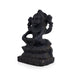 Narasimha With Lakshmi Shaligram Murti | Narsimha Shaligram | Lakshmi Narasimha Murti