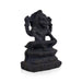 Narasimha With Lakshmi Shaligram Murti | Vishnu Shaligram Stone Price | Narsimha Shaligram