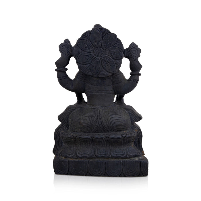Narasimha With Lakshmi Shaligram Murti | Vishnu Shaligram Stone | Vishnu Shaligram Price