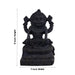 Narasimha With Lakshmi Shaligram Murti | narsimha shaligram | Maha Vishnu Shaligram