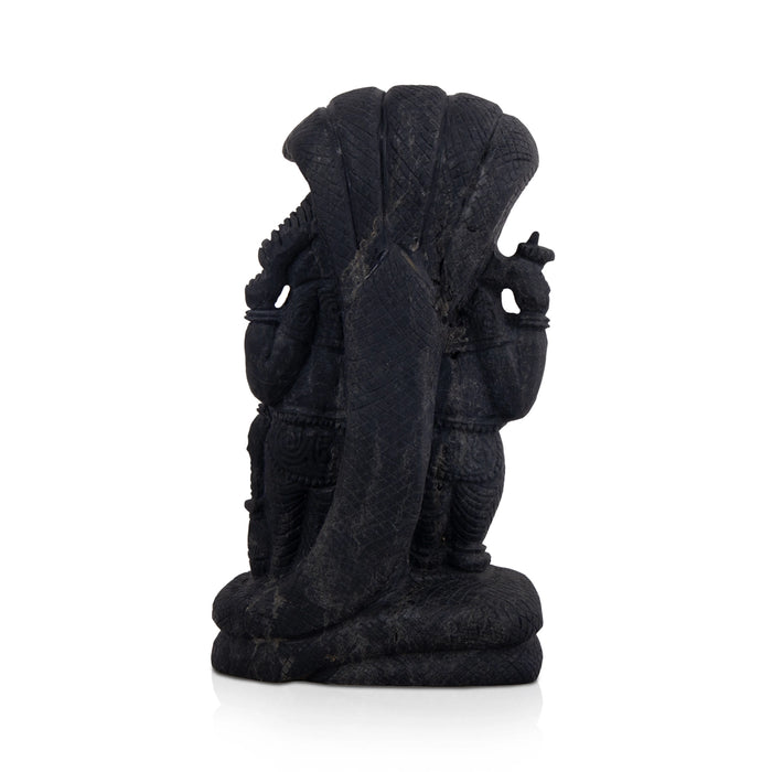 Vishnu Laxmi Narayana Shaligram Murti - 10 x 5.5 Inches | Shaligram Idol/ Saligram Murti for Pooja/ 3.100 Kgs - Saligrama Stones & Murties
