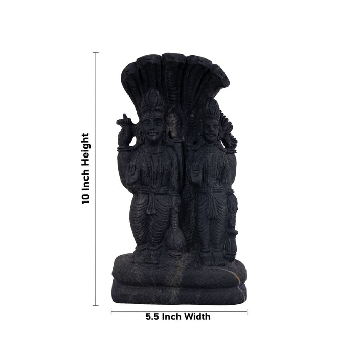 Vishnu Laxmi Narayana Shaligram Murti - 10 x 5.5 Inches | Shaligram Idol/ Saligram Murti for Pooja/ 3.100 Kgs - Saligrama Stones & Murties