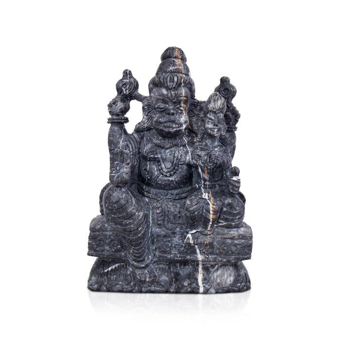 Narasimha Lakshmi Shaligram Murti | Narasimha Shaligram | Rare Shaligram Stone