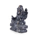 Narasimha Lakshmi Shaligram Murti | Lakshmi Narasimha Shaligram | Lakshmi Narasimha Swamy Idol