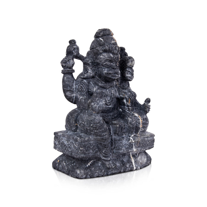 Narasimha Lakshmi Shaligram Murti | Lakshmi Narasimha Idol | Buy Original Shaligram Online