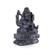 Narasimha Lakshmi Shaligram Murti | Lakshmi Narasimha Idol | Buy Original Shaligram Online