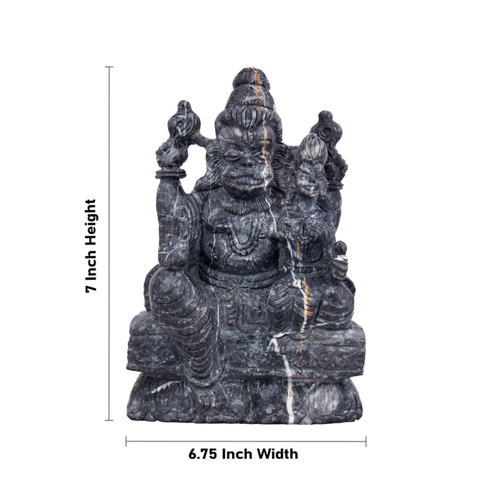 Narasimha Lakshmi Shaligram Murti | Lakshmi Narasimha Saligrama | Lakshmi Narasimha Statue