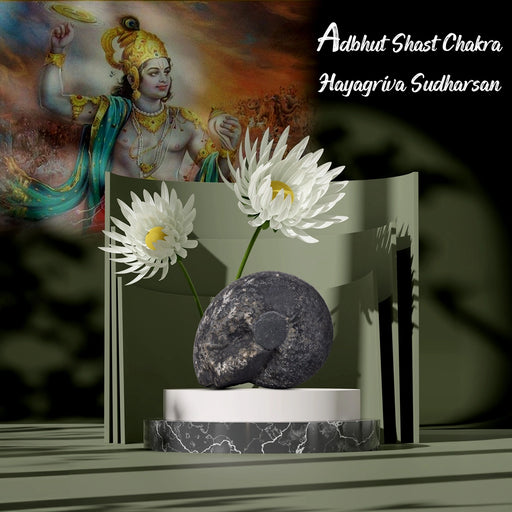 Adbhut Shast Chakra Hayagriva Sudharsan Shaligram Murti | Spiritual Stone | Shaligram Idols