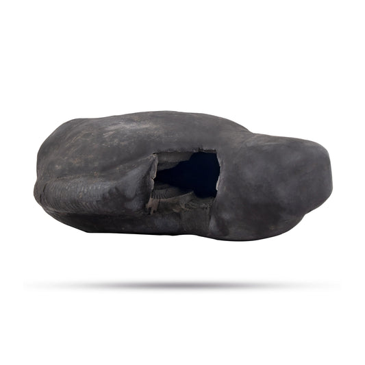 Achutam Madhavam Laxmi Narayana Shaligram Murti | Vishnu Shaligram | Lakshmi Narayan Shaligram