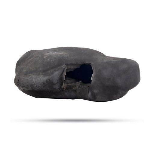 Achutam Madhavam Laxmi Narayana Shaligram Murti | Vishnu Shaligram | Lakshmi Narayan Shaligram